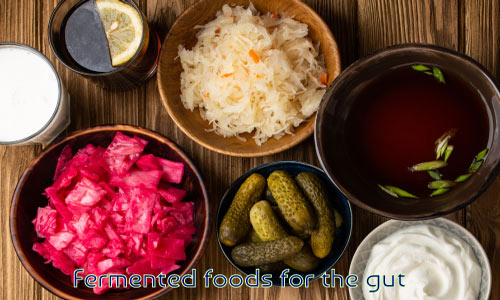 gut friendly food for weight loss